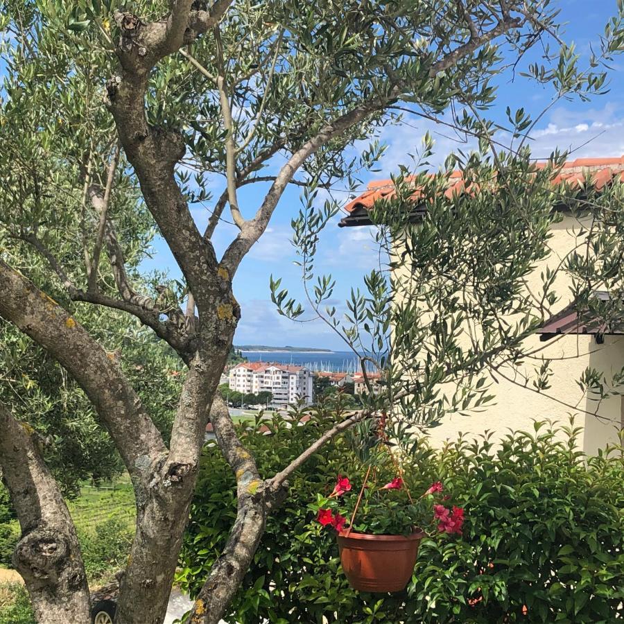 Residence Villa Fiore Portoroz Exterior photo